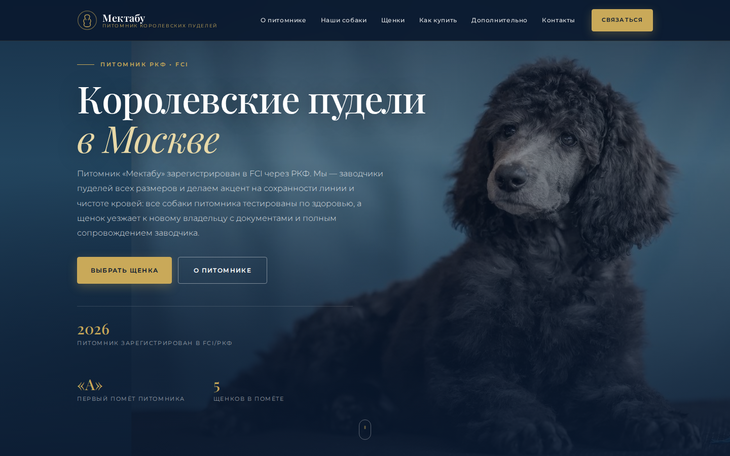 Скриншот предпроектного макета сайта питомника королевских пуделей